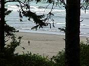 Beach98-018.jpg