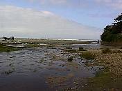Beach98-023.jpg