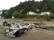 Beach98-024.jpg