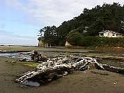 Beach98-025.jpg