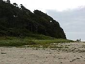 Beach98-027.jpg