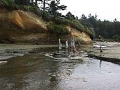 Beach98-030.jpg