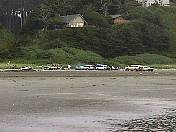 Beach98-038.jpg