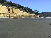 Beach98-149.jpg