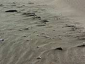 Beach98-151.jpg