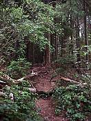 nature98-06.jpg