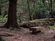 nature98-10.jpg