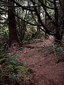 nature98-15.jpg