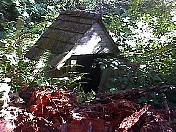 outhouse98-01.jpg