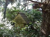 outhouse98-07.jpg