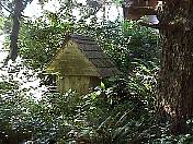 outhouse98-08.jpg