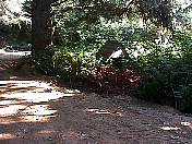 outhouse98-09.jpg