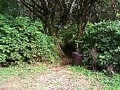 trail98-01.jpg