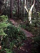trail98-03.jpg