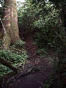 trail98-06.jpg