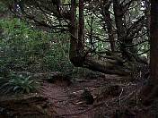 trail98-07.jpg
