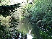 trail98-08.jpg