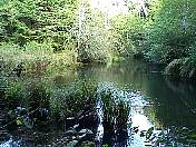 trail98-09.jpg