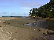 Beach99-010.jpg