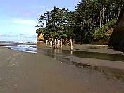 Beach99-011.jpg