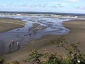 Beach99-018.jpg