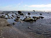Beach99-023.jpg