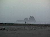 Beach99-111.jpg