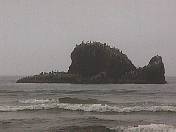 Beach99-118.jpg