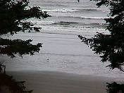 Beach99-131.jpg