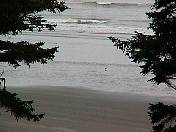 Beach99-132.jpg