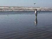 Beach99-144.jpg