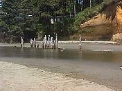 beach01-33.jpg