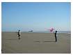 Beach08-071.jpg