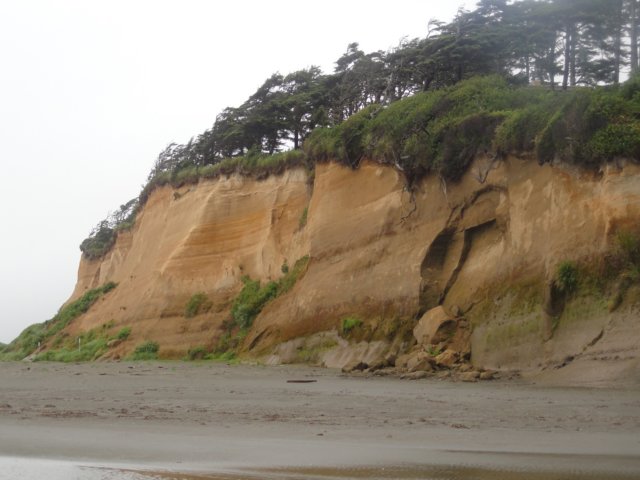 beach2012074.jpg