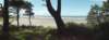 beach2012103_small.jpg